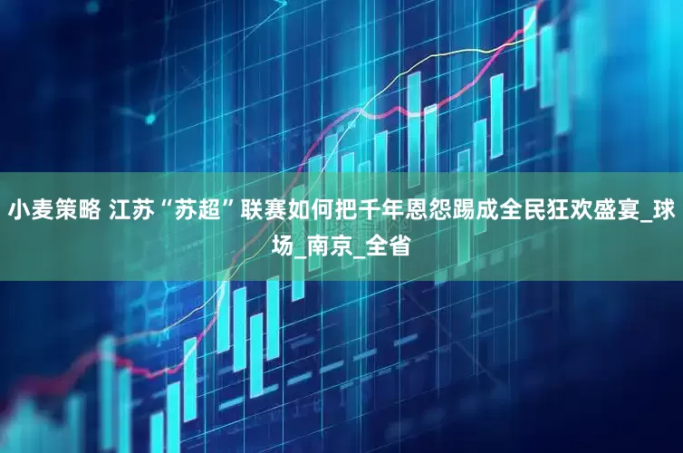 小麦策略 江苏“苏超”联赛如何把千年恩怨踢成全民狂欢盛宴_球场_南京_全省