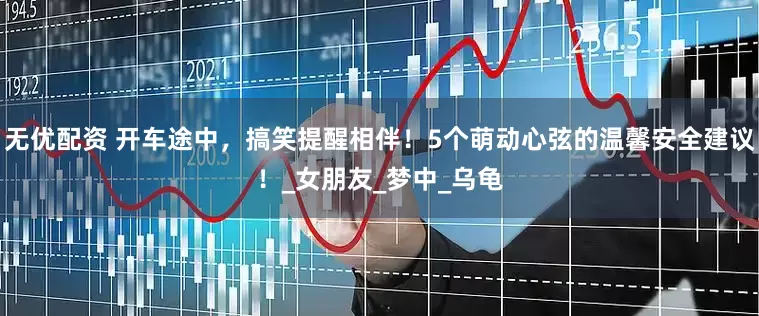 无优配资 开车途中，搞笑提醒相伴！5个萌动心弦的温馨安全建议！_女朋友_梦中_乌龟
